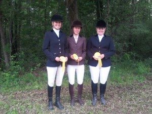 Div 2 häst dressyr
