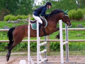 2013-05-25 Vinstbild 5